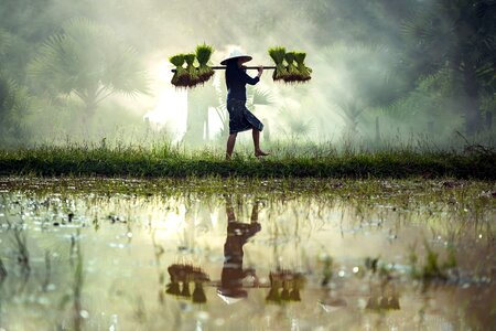 Agriculture beautiful photo countryside