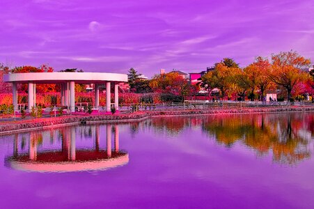 Freshwater reflection and mirrors art