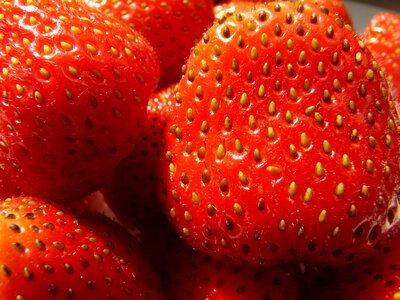 Fruits sweet berries