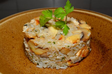 Chicken breast mushroom food photo