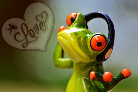 Heart funny frog