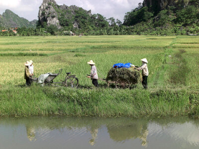 Farmers in Ninh Bình Province in Vietnam photo