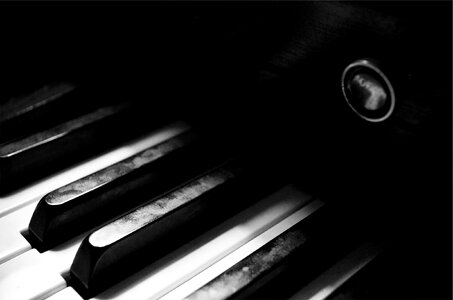 Musical instrument black and white black music