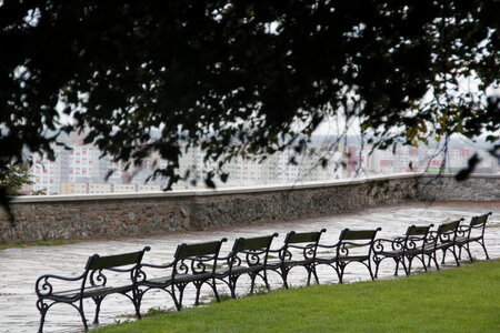 Benches in park