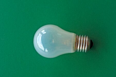 Bulb dark green detail photo