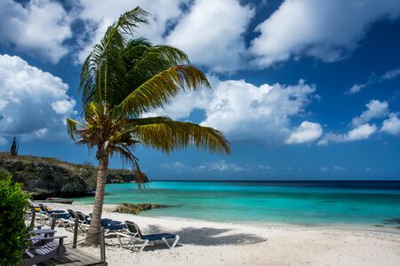 Tropical vacation summer