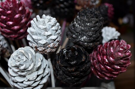 Cones decorative decoration photo