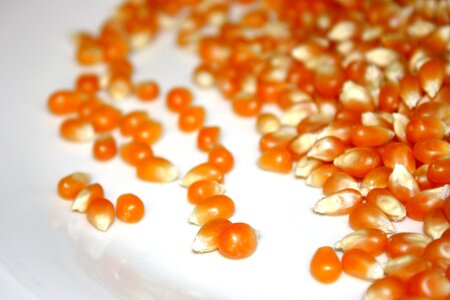 Corn kernel popcorn