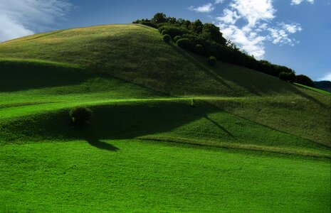 Green sky grass photo