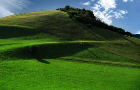 Green sky grass