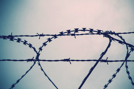 Barbed Wire Barbwire photo