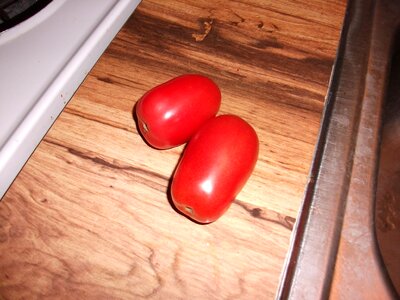 Tomatoes  