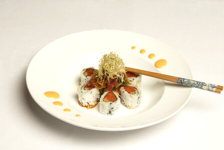 Shiki Sushi Special Roll