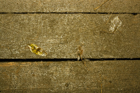 Old Wood Background photo