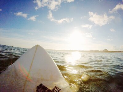Surf Board photo