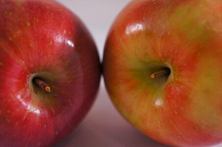 Detail fruit agriculture