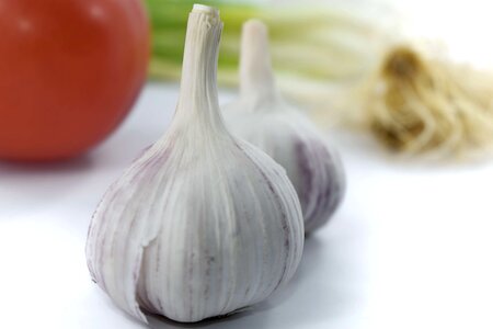 Antibacterial close-up garlic