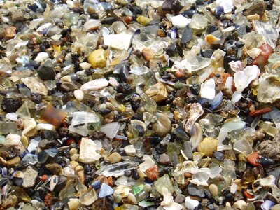 Stones seashell seashells photo