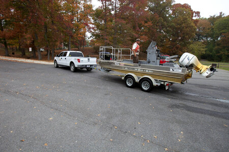 Electrofishing for Northern Snakehead-6