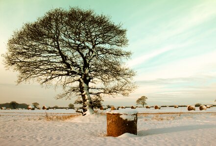 Snowy Hay Field photo