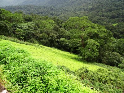 Sahyadri landscape wilderness photo