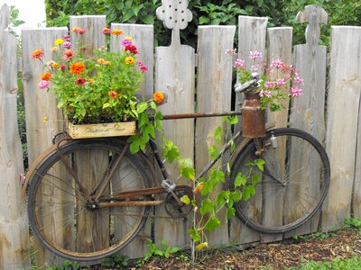 Bike garden fence photo