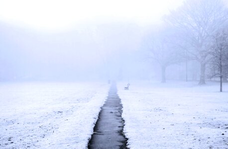 Park sidewalk grass photo