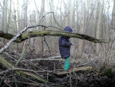 Child in Wild Winter Forest photo