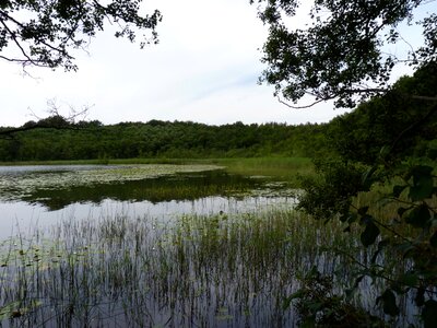 Western pomerania mcpomm mecklenburgische seenplatte