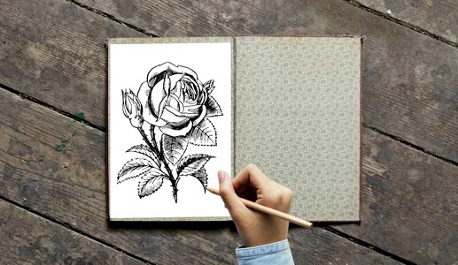 Coloring book with Rose photo