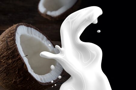Coconut Milk photo