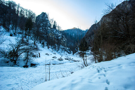 Snow Path photo