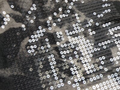 Clothing fashion shine