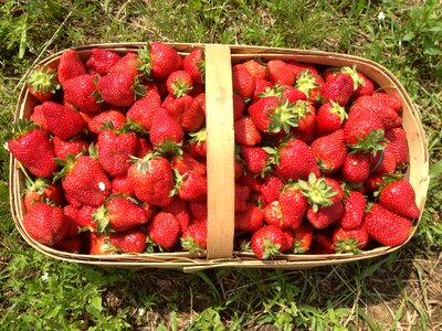 Strawberry red food