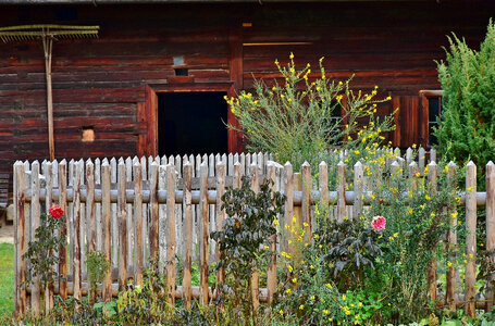 Cottage Garden with fence