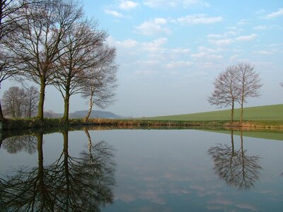 Trees mirroring water