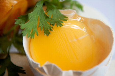 Egg Yolk Coriander photo