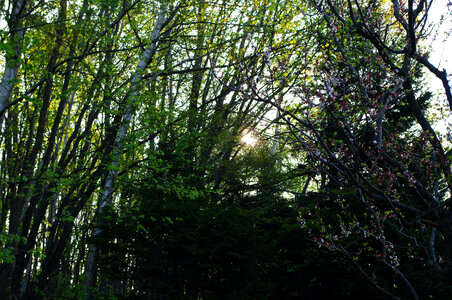 16 Nature