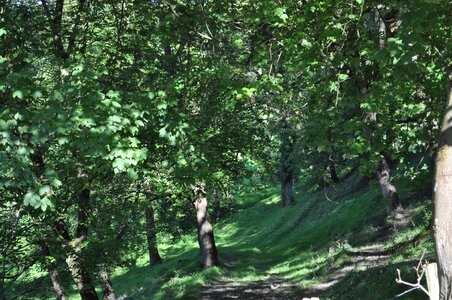 Sunlight switzerland scenic