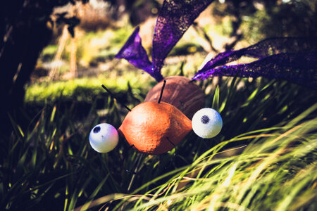 Pumpkin Creature with Wings photo