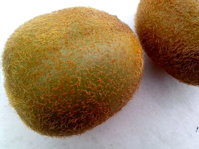 Background fruit white