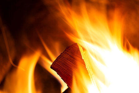 Campfire Wood Flame photo