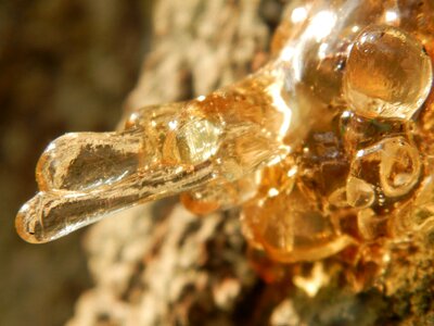 Liquid dried gum