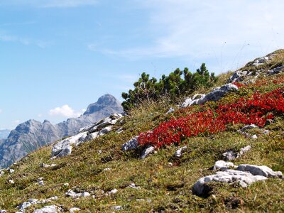 Autumn landscape stubaital photo