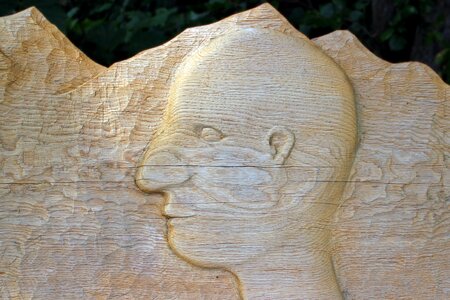 Carve carving portrait
