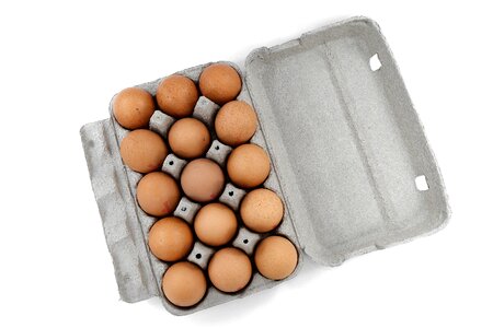 Egg food cholesterol photo