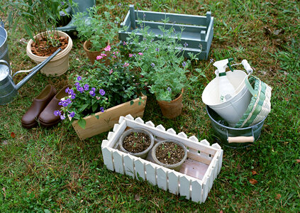 Garden tools on grass in yard photo