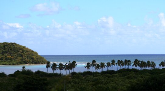 Beach coast water photo