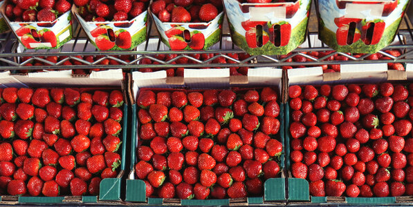 Stock of strawberries photo