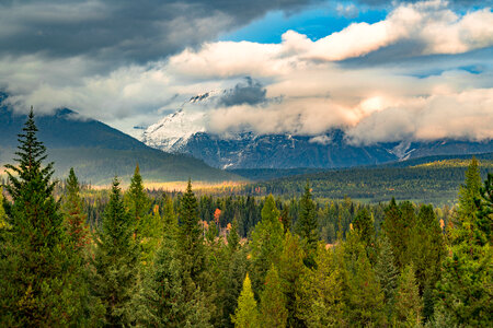 Flathead National Forest in Montana